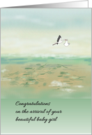 New Baby Girl Stork Carrying Baby Bird’s Eye View Of The Land Below card