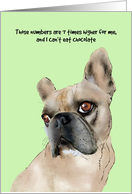 Birthday French Bulldog Convincing You It Is Only A Number card