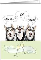 Three Huskies Discussing Age Clinking Champagne Glasses card