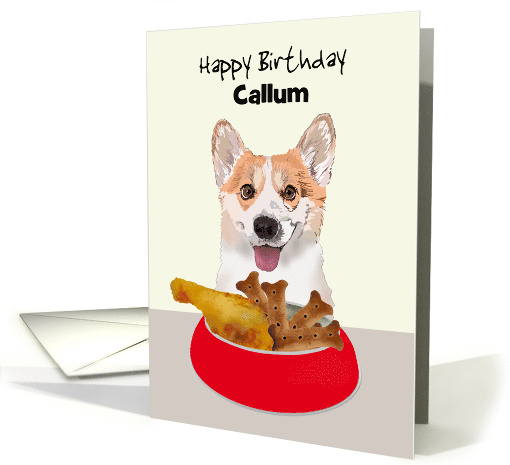 Birthday Happy Corgi Ready To Tuck Into Bowl Of Chicken... (1917950)