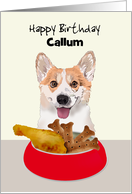 Birthday Happy Corgi Ready To Tuck Into Bowl Of Chicken And Biscuits card