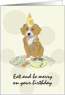 Eat And Be Merry Birthday Wish From Bernedoodle Milk And Dog Biscuit card