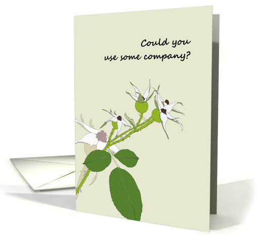 Could You Use Some Company You Have a Friend Here Unripe... (1947430)