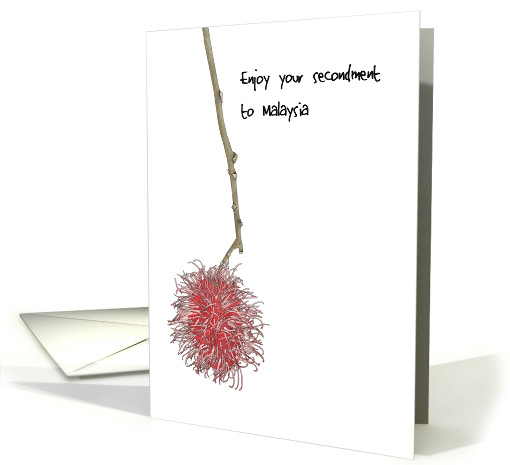 Best Wishes on Secondment to Malaysia Rambutan Fruit Bon Voyage card
