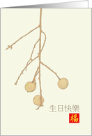 Birthday Greeting in Chinese Longan Fruit on Slender Twig
