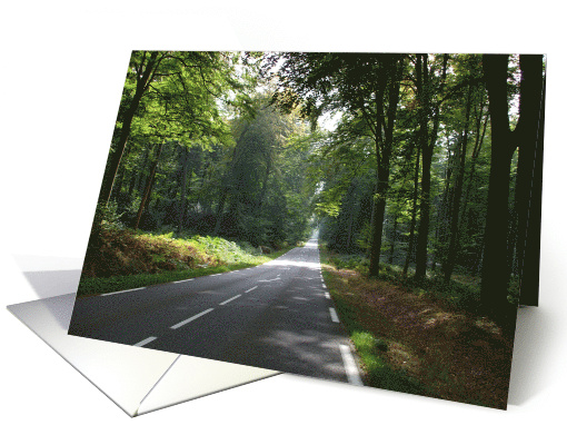 Bon Voyage Sun Dappled Road Through Beech Forest card (853924)