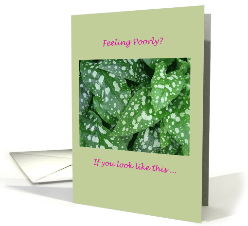 Get Well Humor Spotted Pulmonaria Leaves card (854321)