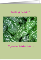 Get Well Humor Spotted Pulmonaria Leaves card
