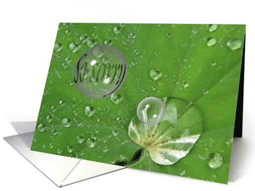 Sympathy Tears Like Raindrops on Leaf card (855981)