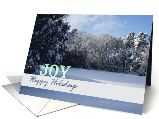 Joy and Happy Holidays a Snow Covered Lawn Christmas card (858288)