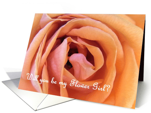 Be My Flower Girl Close Up Of Beautiful Orange Pink Rose card (858807)