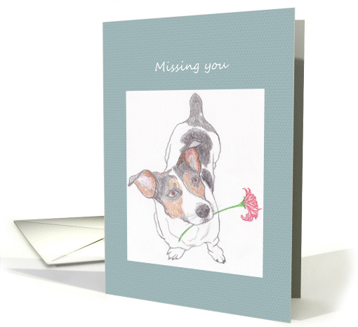 Hand Drawn Jack Russell with Flower in his Mouth Missing You card