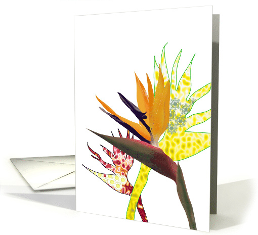 Exotic Bird of Paradise Flower Blank card (863737)
