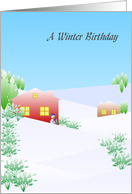 Winter Birthday...