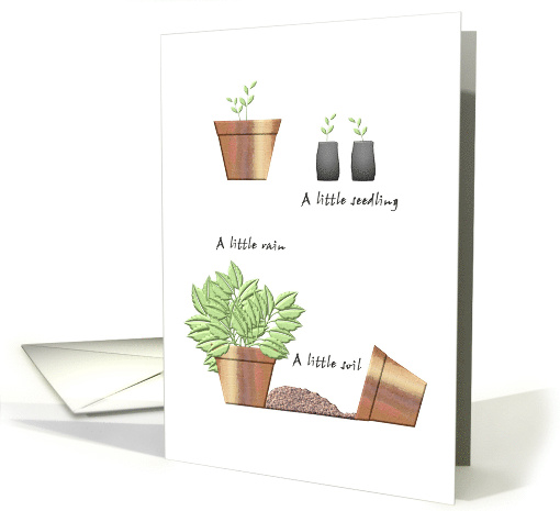 Soil Rain And A Little Seedling Blank card (869576)