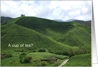 Invitation Let’s Do Tea Tea Plantation card