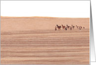 A Camel Train In The Desert Blank card
