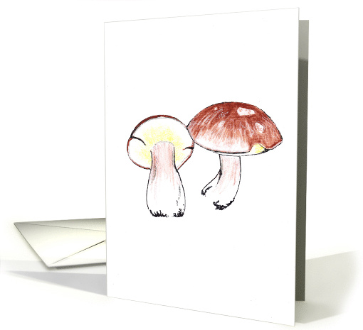 Mushrooms The Penny Bun card (876347)