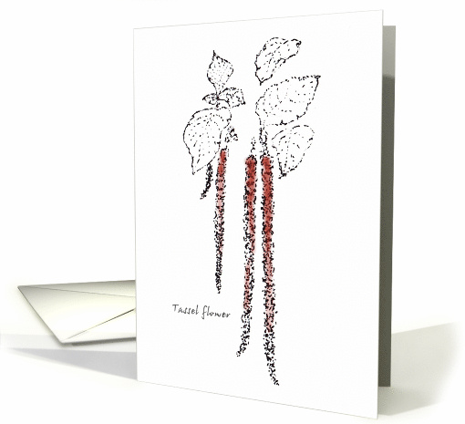 Tassel Flower Drawing Blank card (880577)