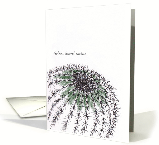 Golden Barrel Cactus Blank card (880578)