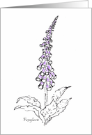 Foxglove Blank card