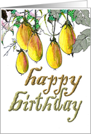 Birthday Sketch of Forest Fruits Hanging Down Amongst Foliage card