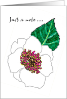 Sketch Of A Camellia Flower Blank card