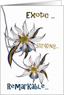 Birthday For Her Turning Back Time Exotic Flower card