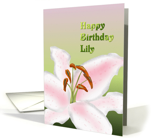 Birthday for Lily Sketch Of A Stargazer Lily card (905689)