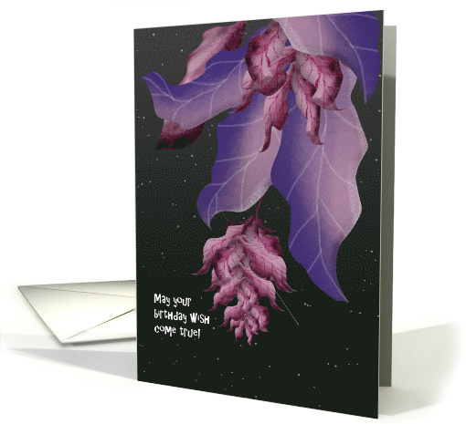 Birthday Wish Come True Shooting Star card (908194)