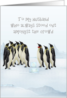 Birthday For Husband Penguin Gathering On Icy Ground card