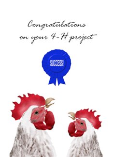 Congratulations on 4-H Project Success Happy Chickens