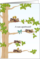Congratulations New Apartment Birds’ Nests on Branches card