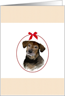 Blank Note Card Doggy Eyes card
