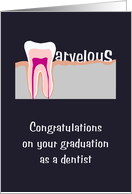 Congratulations Becoming A Dentist Illustration Of Tooth Cross Section card