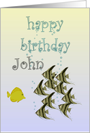 Birthday for John A Shoal of Fish Sending a Bubbly Birthday Greeting card