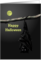 Halloween Bat In...