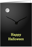 Halloween Owl In...