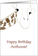 Birthday Greeting for Anthonie card