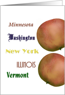 Vermont Illinois New York Washington Minnesota Apple State Fruit card