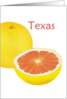 Texas Grapefruit State Fruit Symbol Blank card