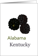 Alabama and Kentucky Blackberry State Fruit Symbol Blank card