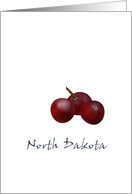 North Dakota Chokeberry State Fruit Symbol Blank card