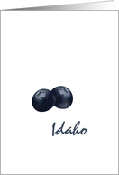 Idaho Huckleberry State Fruit Symbol Blank card