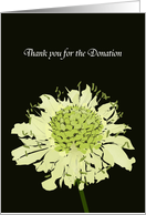 Thank You for Your Donation in Memory Of Scabiosa Flower card