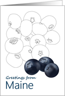 Greetings from Maine Blueberry State Fruit Symbol Blank card