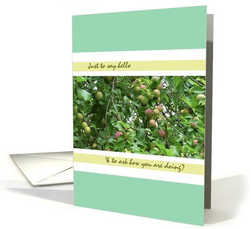 Hello and Hi There Plums on Tree card (989543)