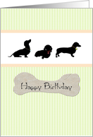 Birthday Dachshunds and a Juicy Bone card