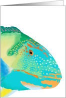 Colorful Parrot Fish Blank card