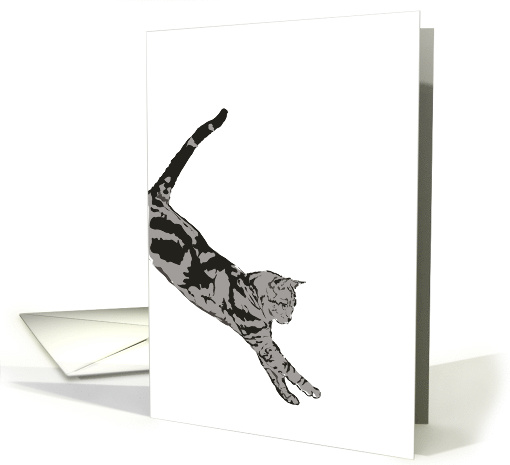 Tabby Cat Pouncing Blank card (996751)